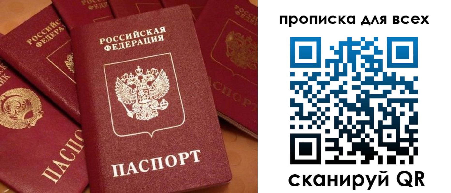 временная регистрация поиск в Полярном