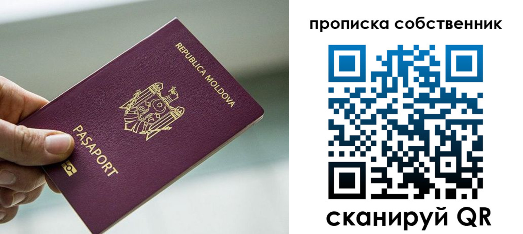прописка паспорт в Полярном